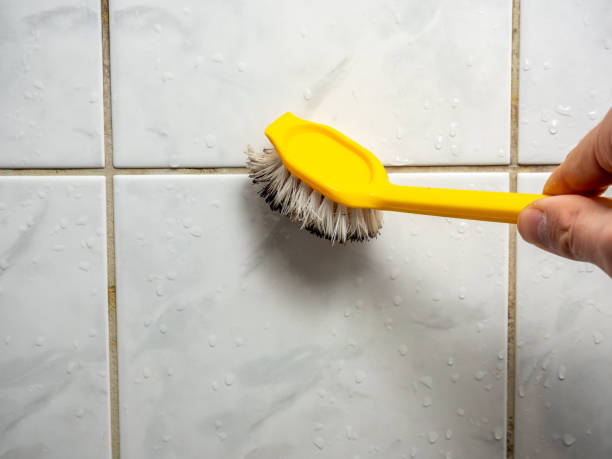 Best Attic Mold Removal  in Ragland, AL